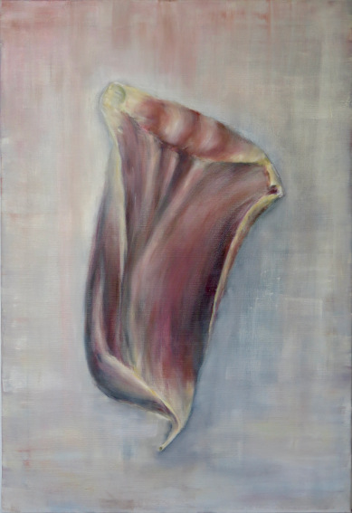 Ein Tulpenbl&uuml;tenblatt