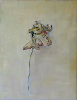 Verbl&uuml;hte Tulpe